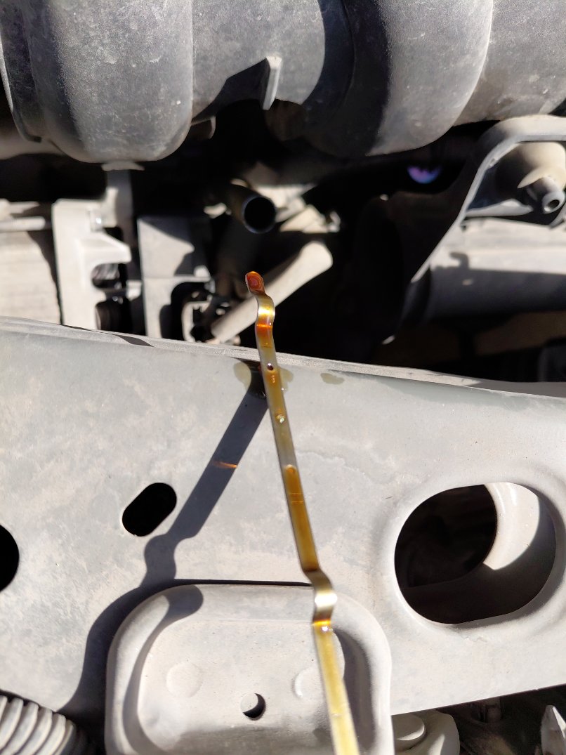 Nissan Sunny SV COMFORT 2023 image