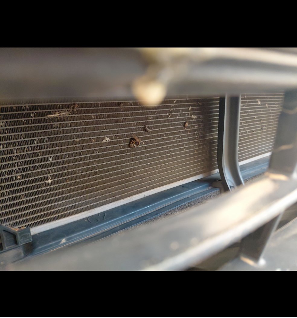 تويوتا انوفا VIP7 HEV 2024 image