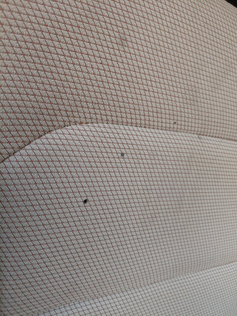 Hyundai Elantra GL 2020 image