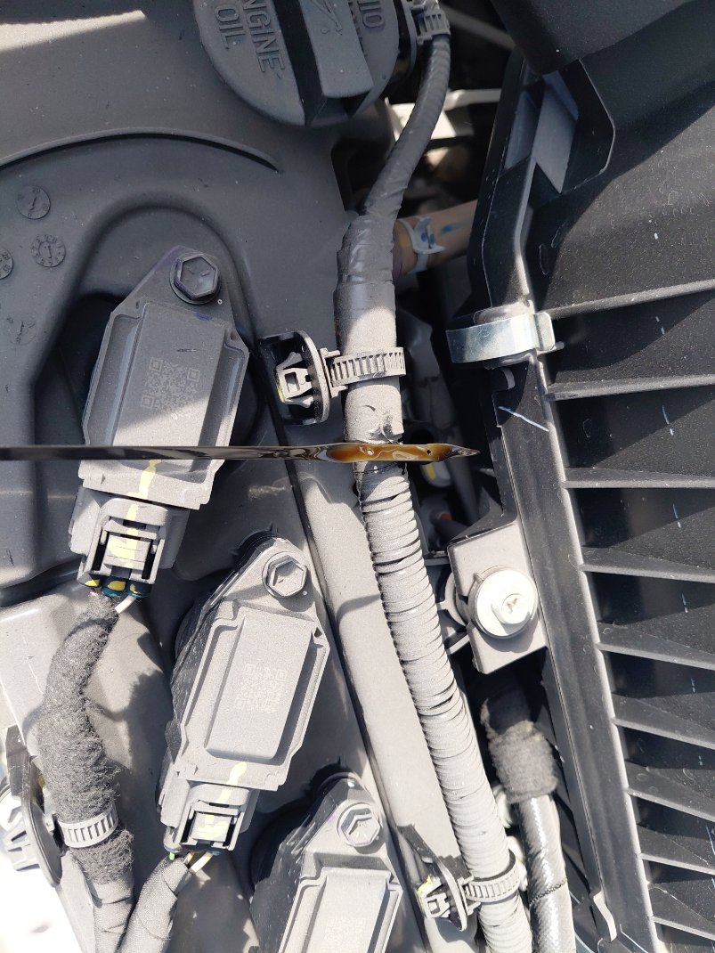 Suzuki Ciaz GLX  2025 image