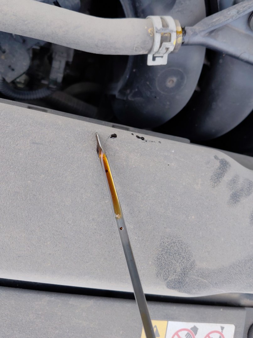 Toyota Corolla XLI EXE  2024 image