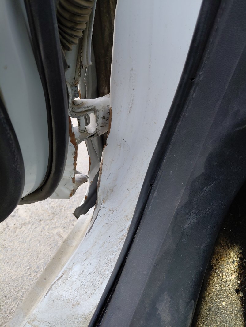 Toyota Yaris Y 2024 image