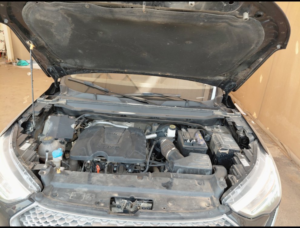 هافال جوليان أكتيف 2024 image