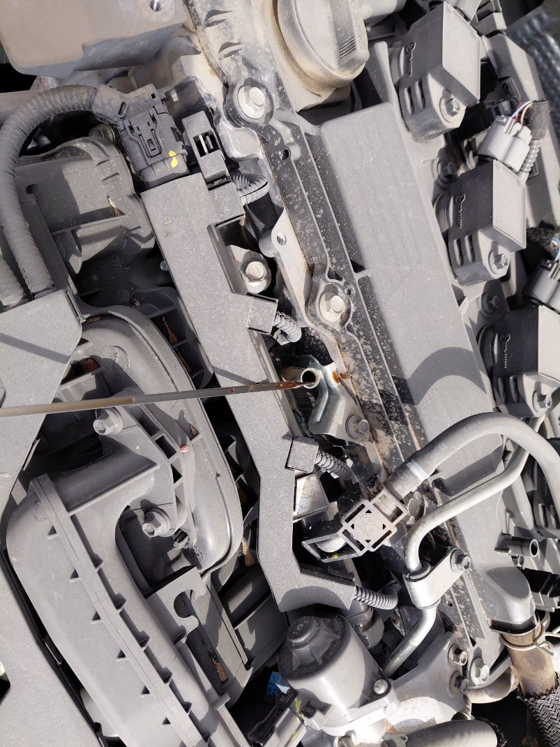 تويوتا كورولا XLI 2024 image