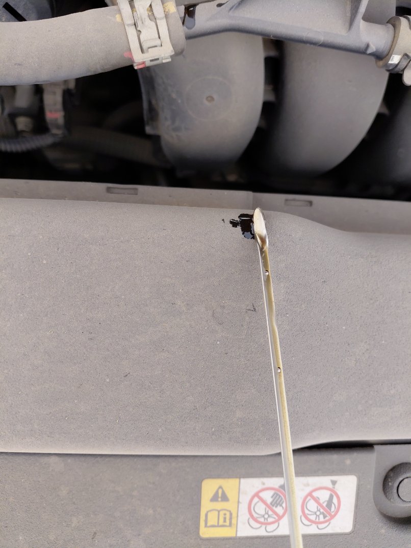 تويوتا كورولا XLI EXECUTIVE M/R 2023 image