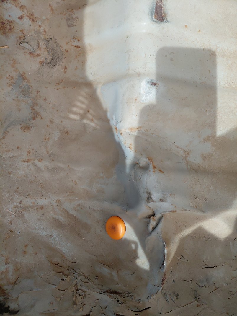 كيا بيجاس ال اكس 2020 image