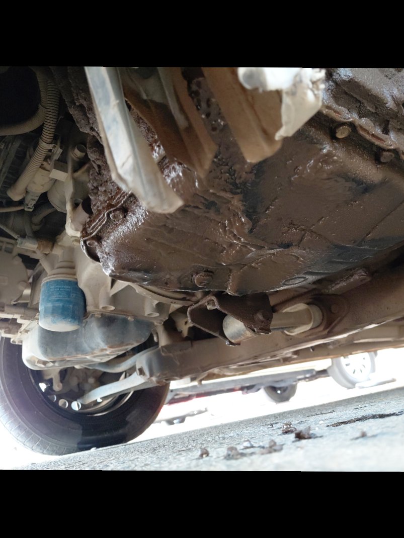 كيا بيجاس ال اكس 2020 image