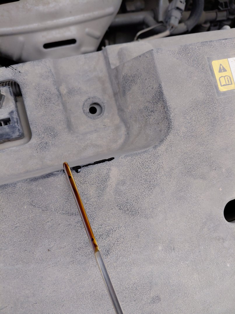 تويوتا يارس Y PLUS 2022 image