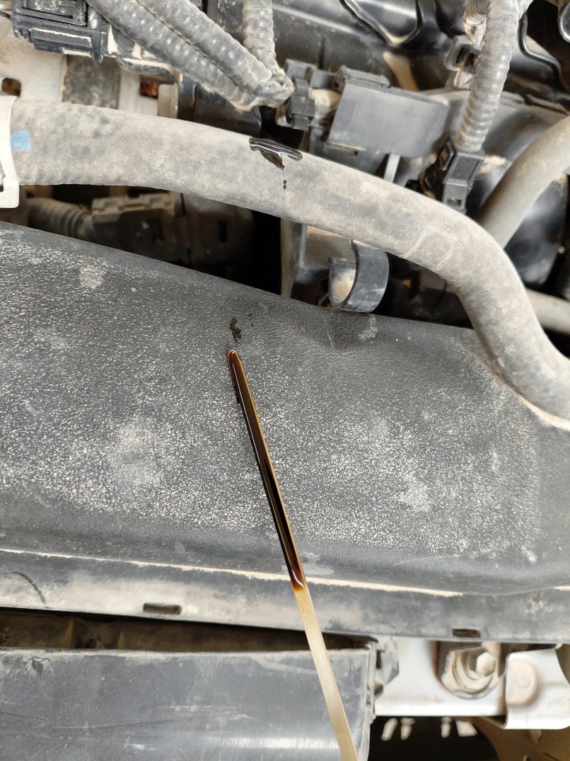 تويوتا كورولا XLI EXECUTIVE M/R 2021 image