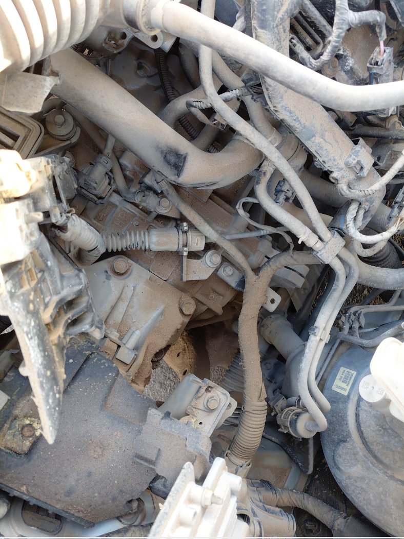 هيونداي أكسنت STD 2022 image