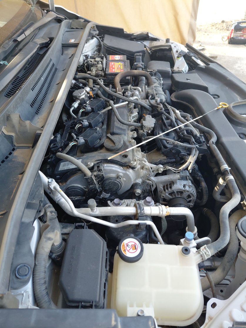 Toyota Corolla XLI EXECUTIVE 2021 image