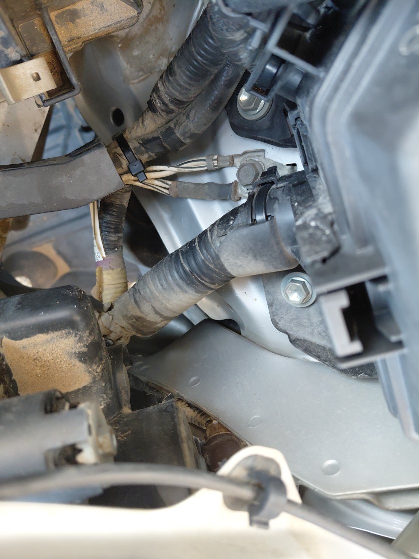 Toyota Corolla XLI EXECUTIVE 2021 image