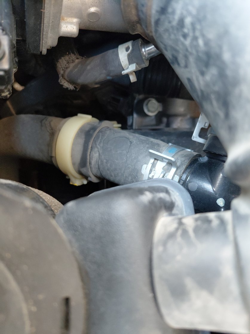 Toyota Corolla XLI EXECUTIVE 2021 image