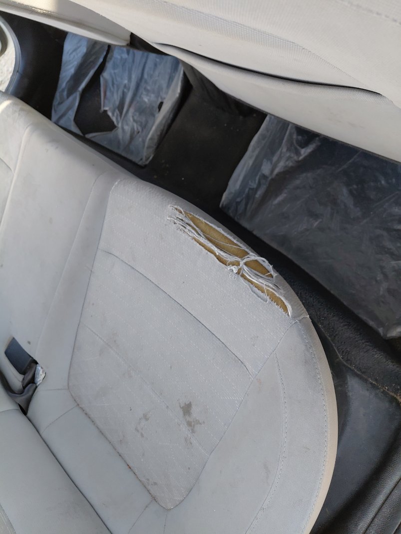 كيا ريو SC LX FWD 2020 image