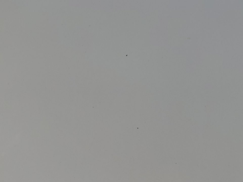 كيا ريو SC LX FWD 2020 image