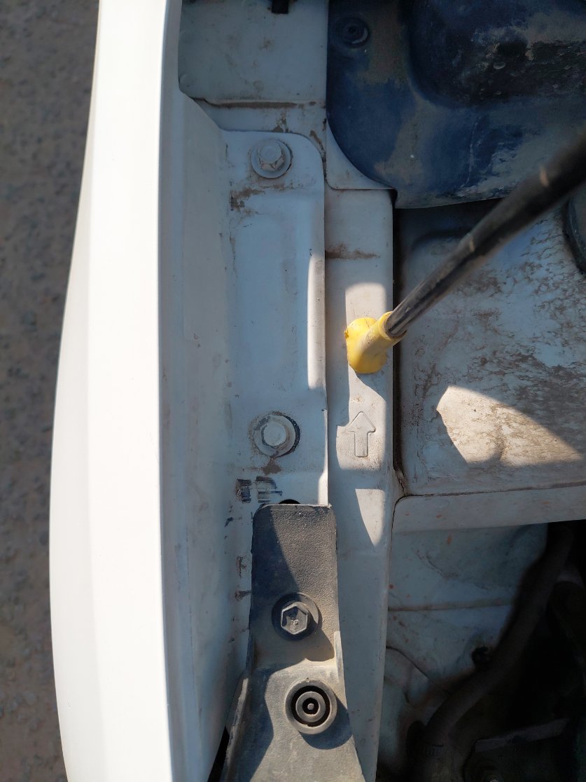 KIA Pegas LX FWD 2021 image