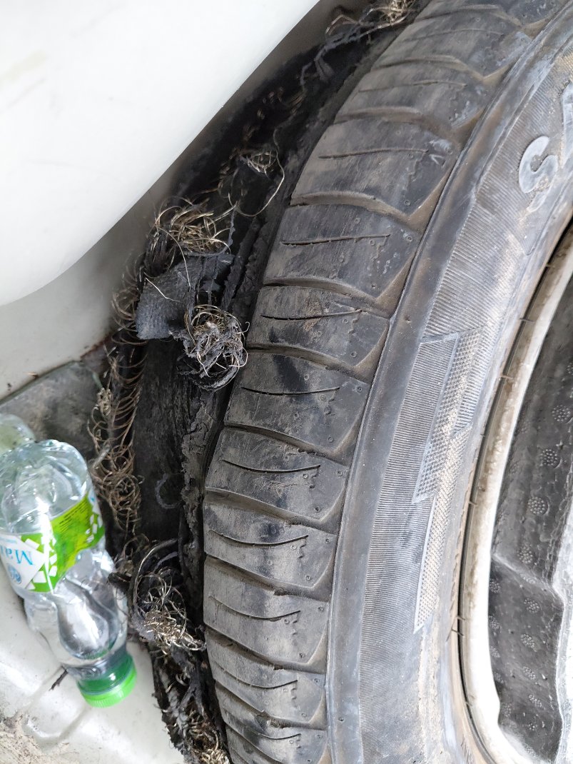 هيونداي إلنترا GL 2023 image