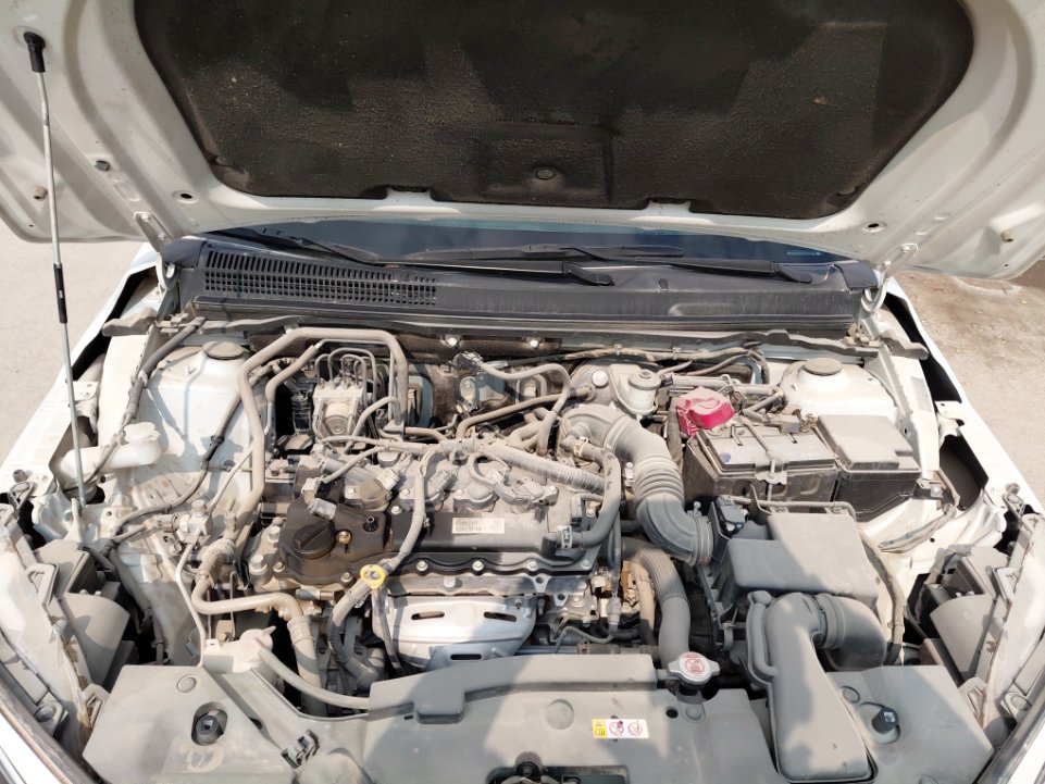 Toyota Yaris Y 2024 image