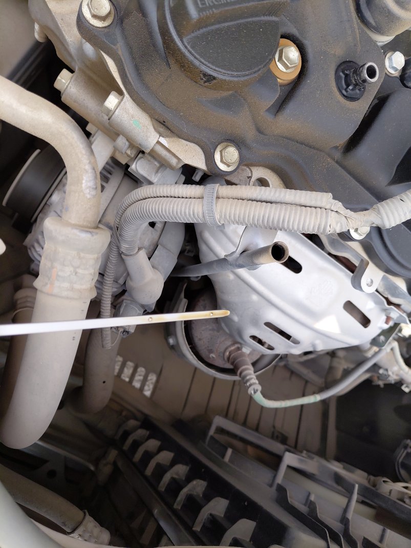 Toyota Yaris Y 2024 image