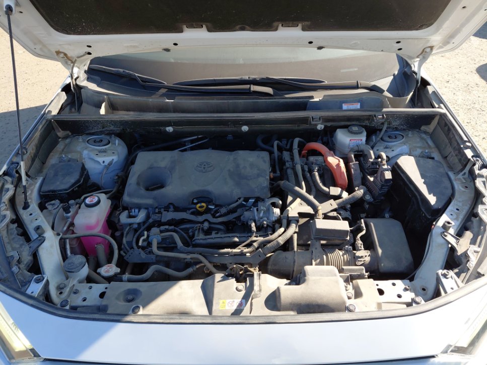 Toyota RAV4  2023 image