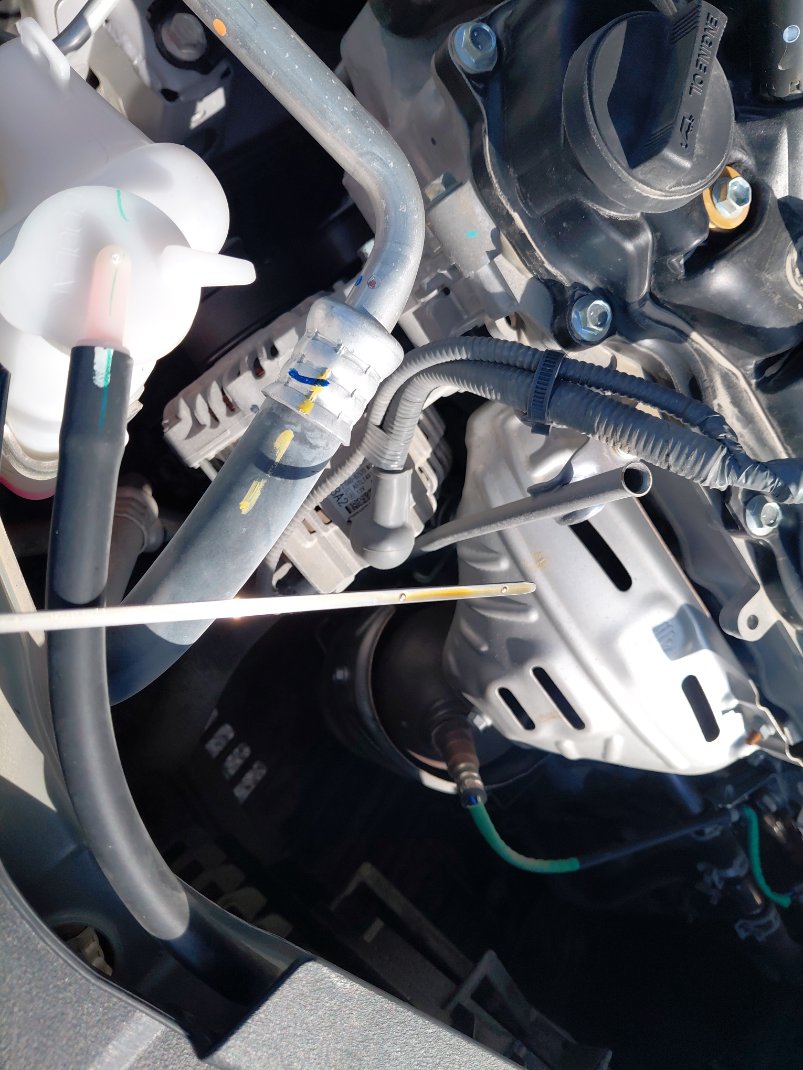 Toyota Yaris Y PLUS 2024 image