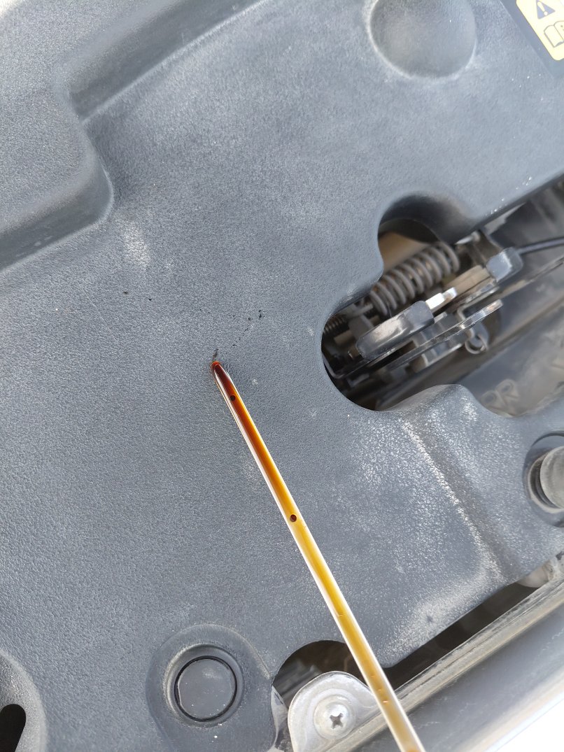 تويوتا يارس Y PLUS 2023 image