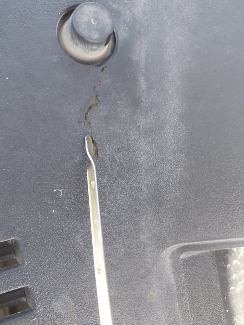 Toyota Camry GLE HEV  2024 image