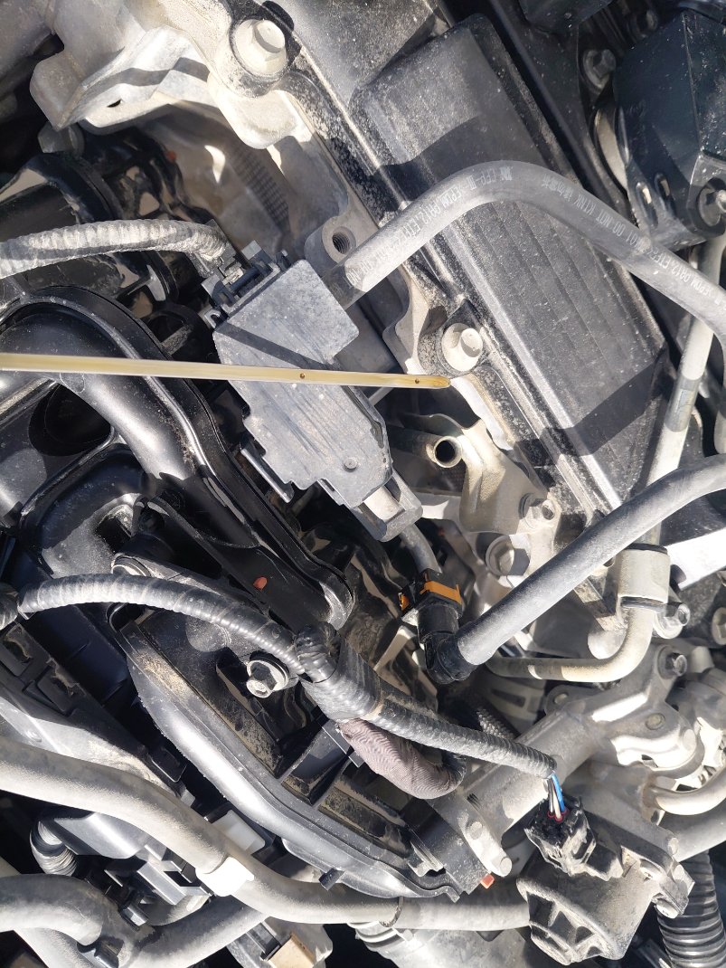 Toyota Corolla XLI EXECUTIVE M/R  2021 image