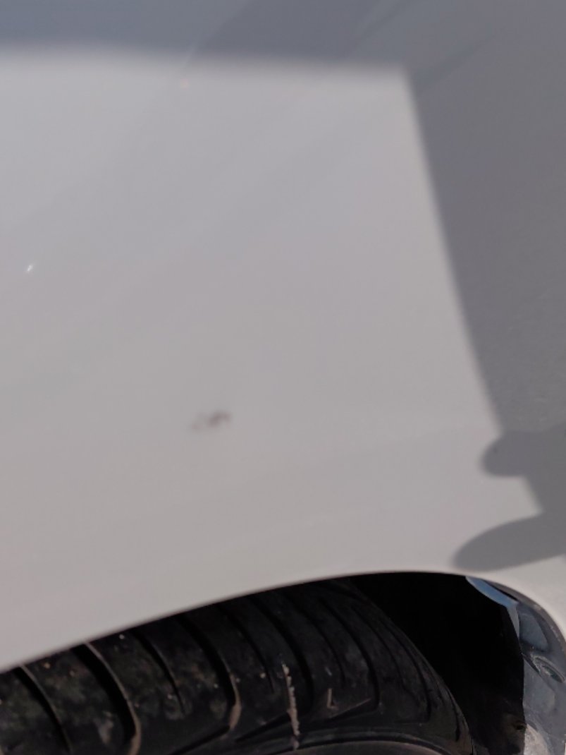 Toyota Corolla XLI EXECUTIVE M/R  2021 image