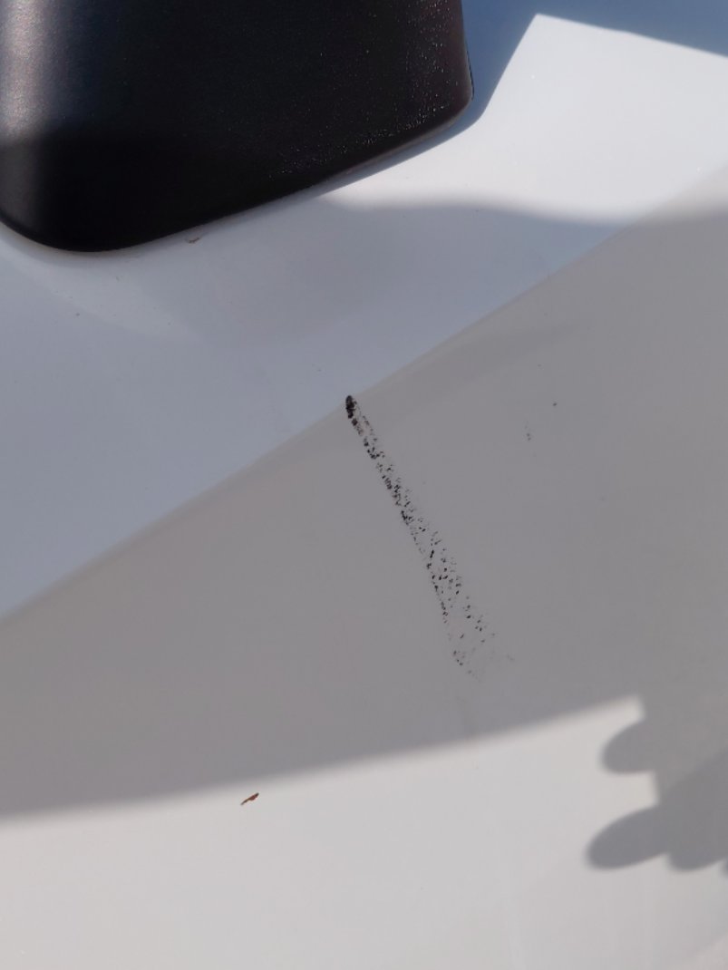 Toyota Corolla XLI EXECUTIVE M/R  2021 image