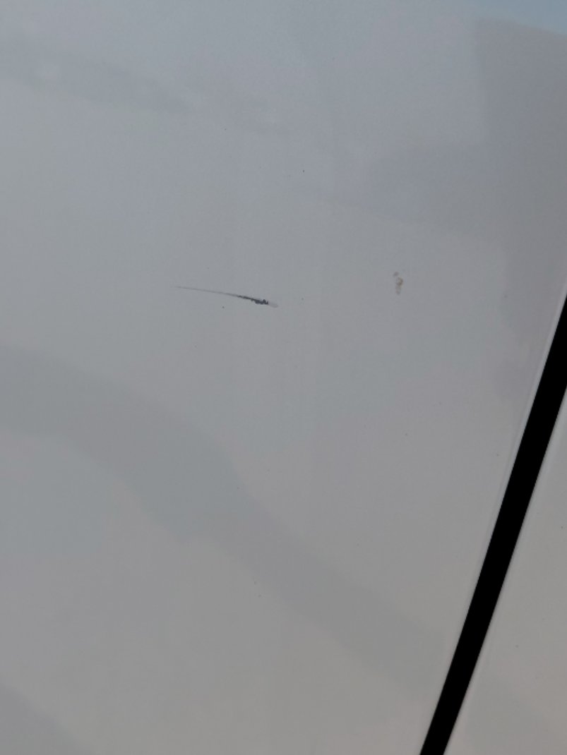 Toyota Corolla XLI EXECUTIVE M/R  2021 image