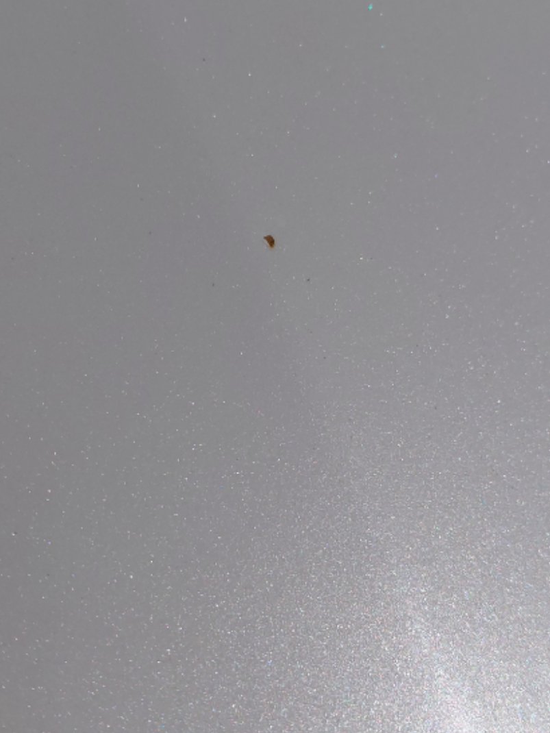 Toyota Corolla XLI EXECUTIVE M/R  2021 image