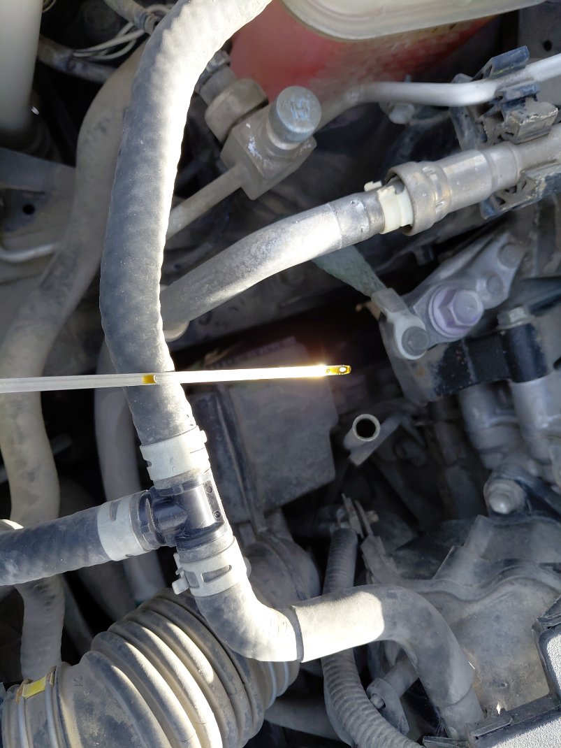 تويوتا كورولا كروس LE HEV  2021 image