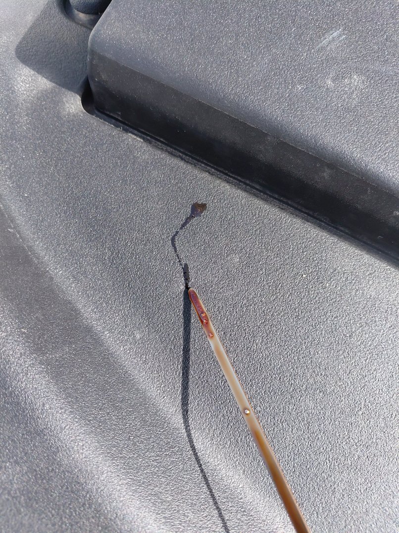 تويوتا كورولا XLI 2024 image