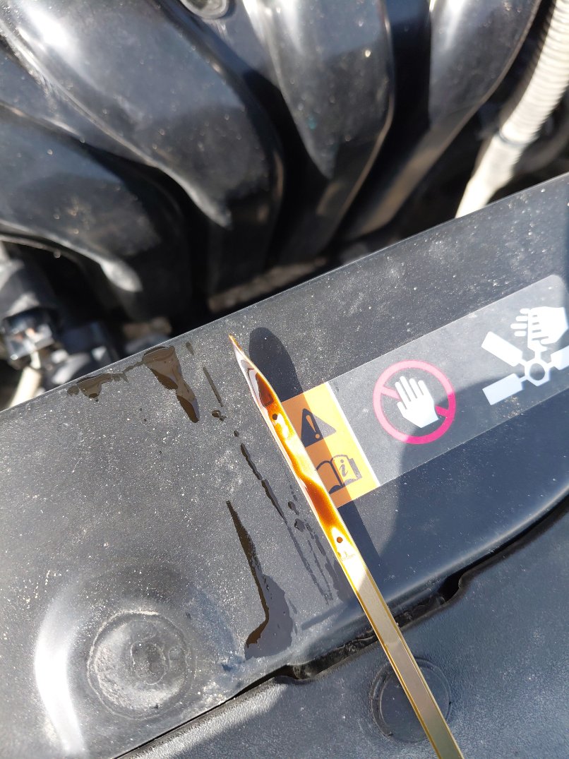 كيا بيجاس اي اكس 2024 image