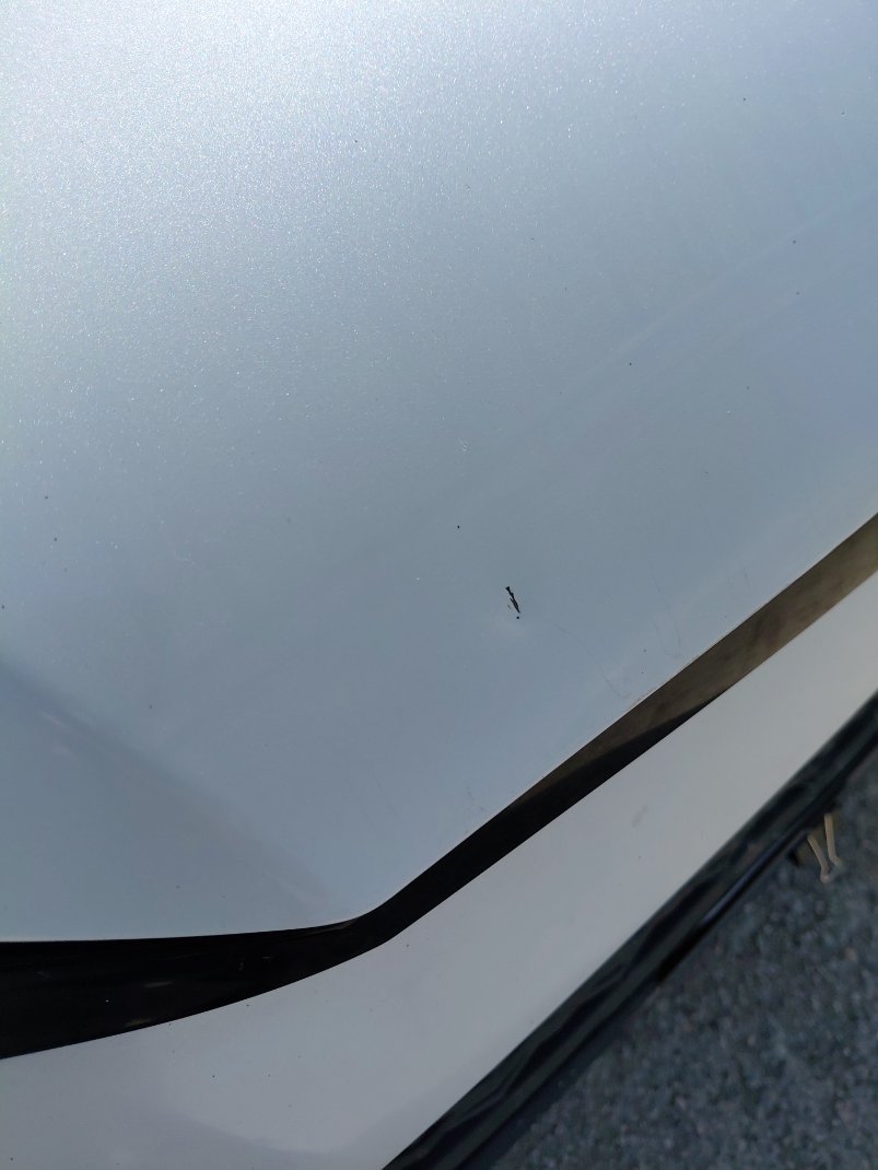 تويوتا رايز XLE 2023 image