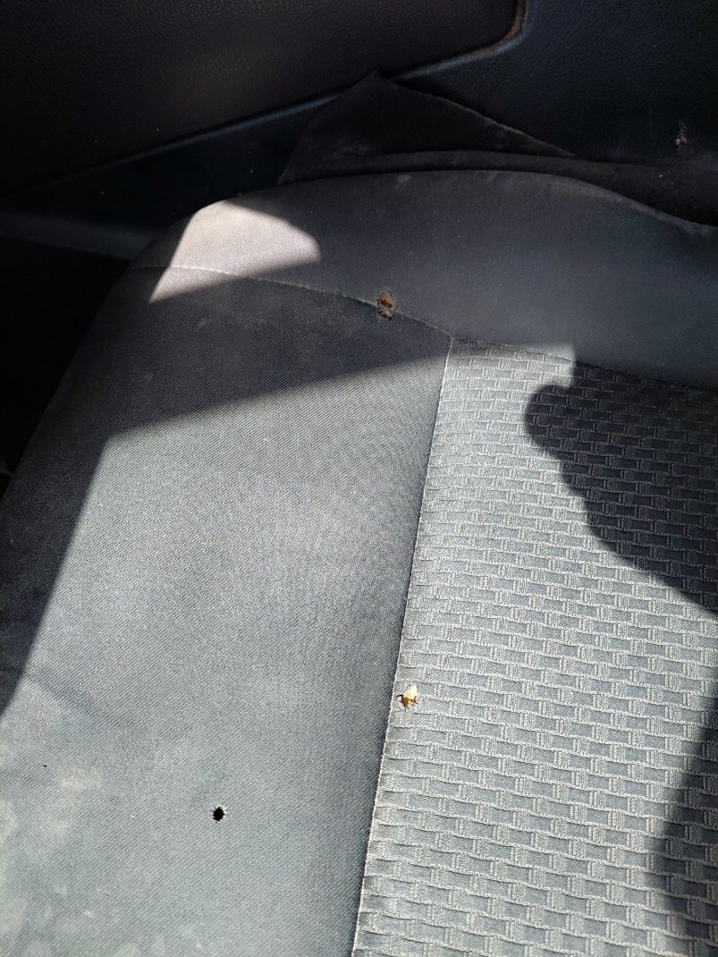 تويوتا يارس Y PLUS 2024 image