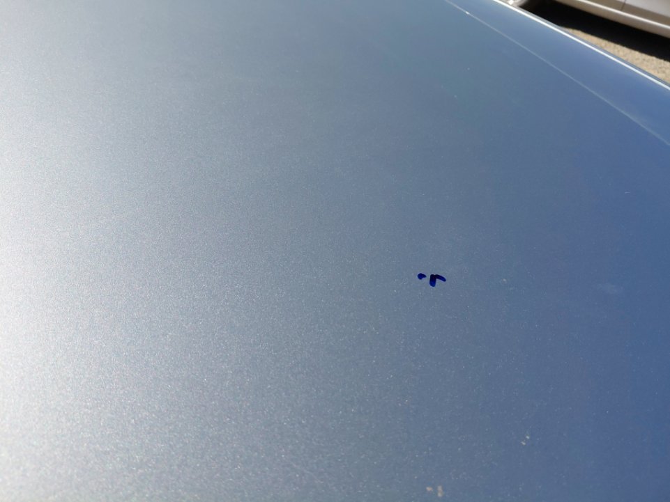 نيسان باترول  2021 image