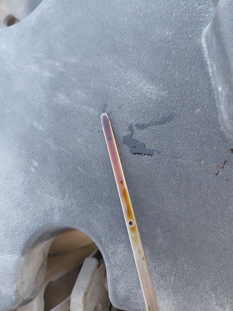 Toyota Yaris Y 2024 image