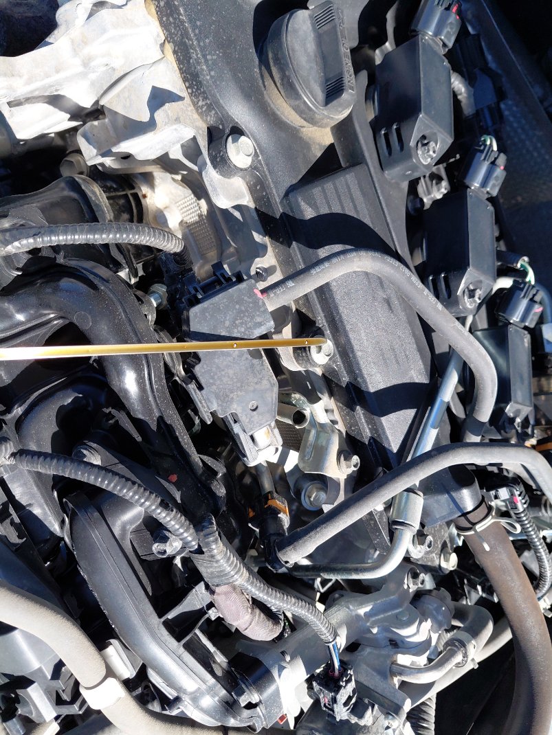 تويوتا كورولا XLI 2024 image