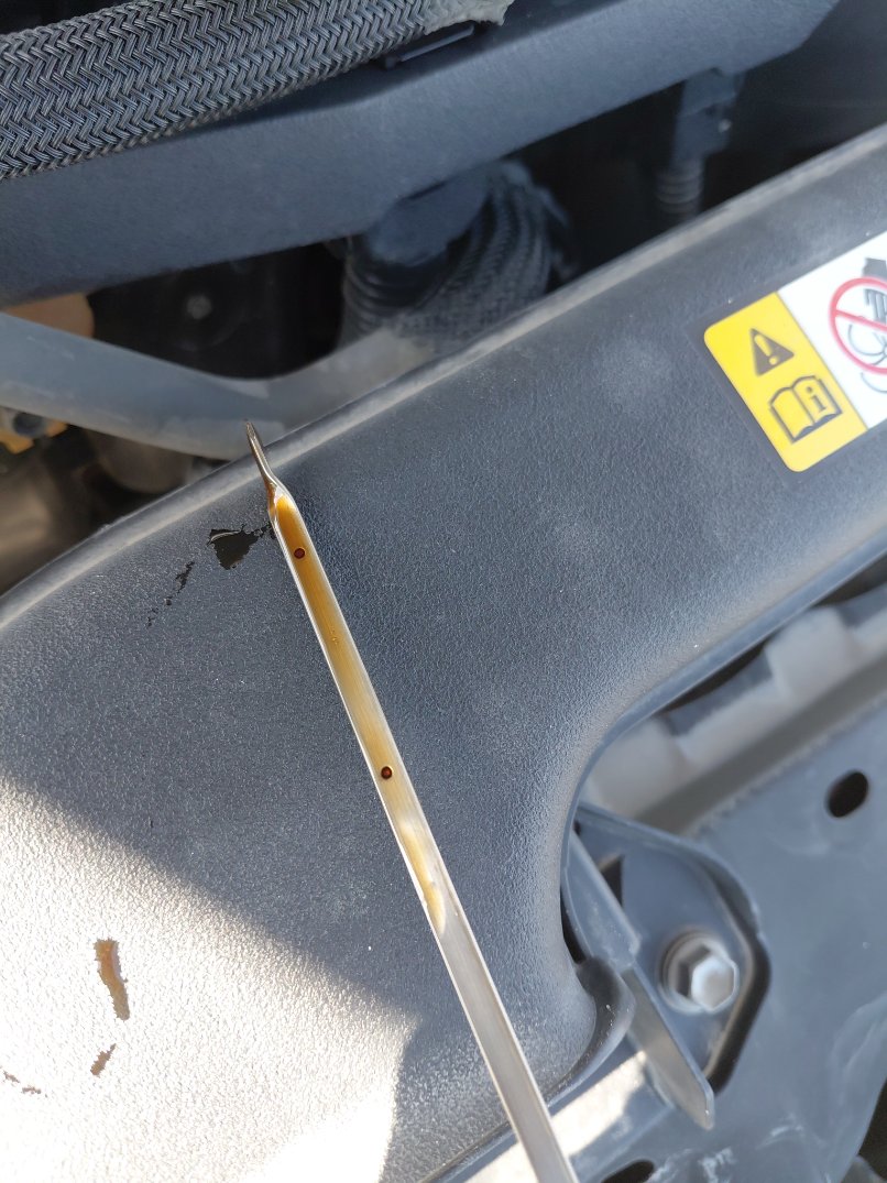 Toyota Camry GLEX HEV 2022 image