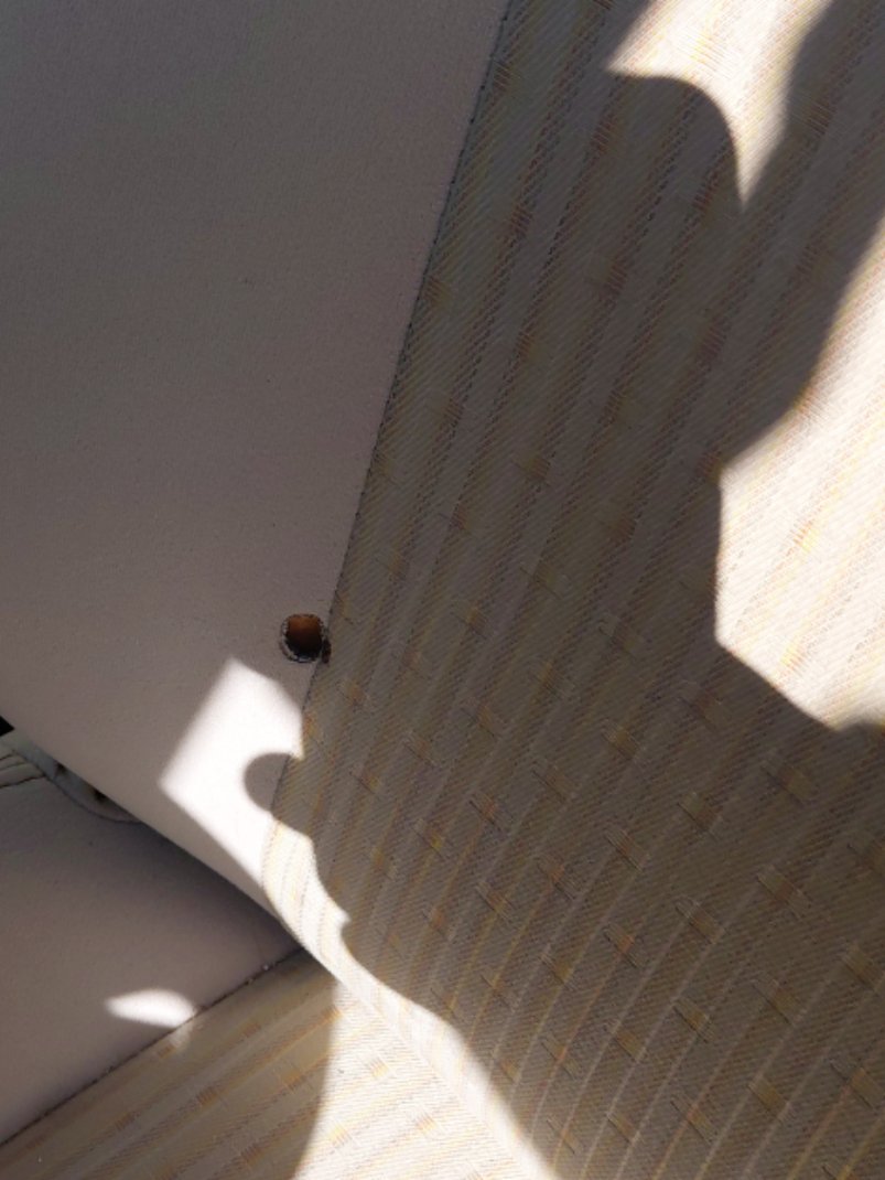 Toyota Yaris Y 2021 image