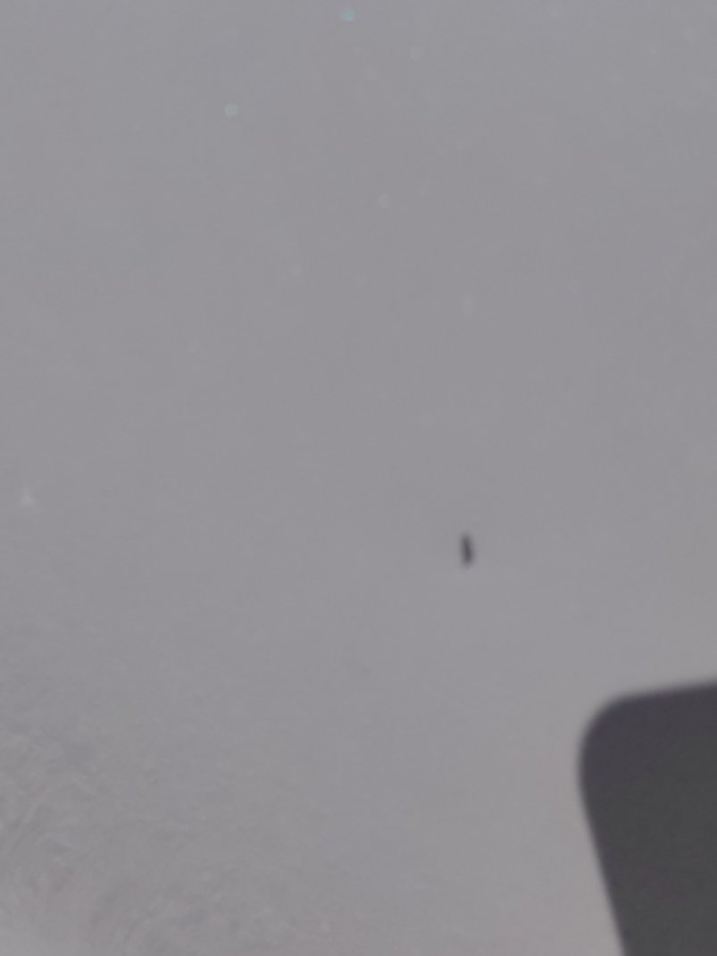 Toyota Yaris Y 2021 image