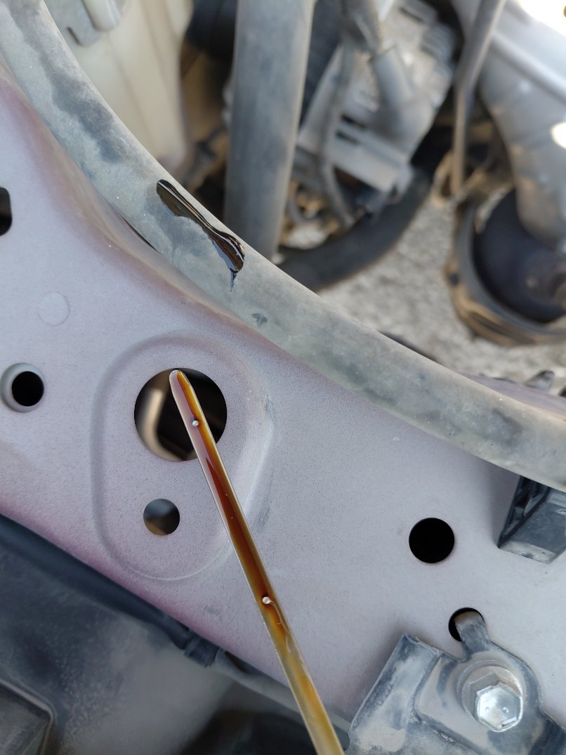 تويوتا فيلوز GLX 2023 image