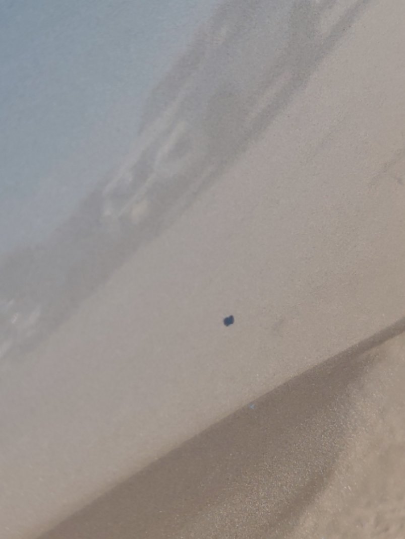 KIA Pegas اي اكس 2022 image