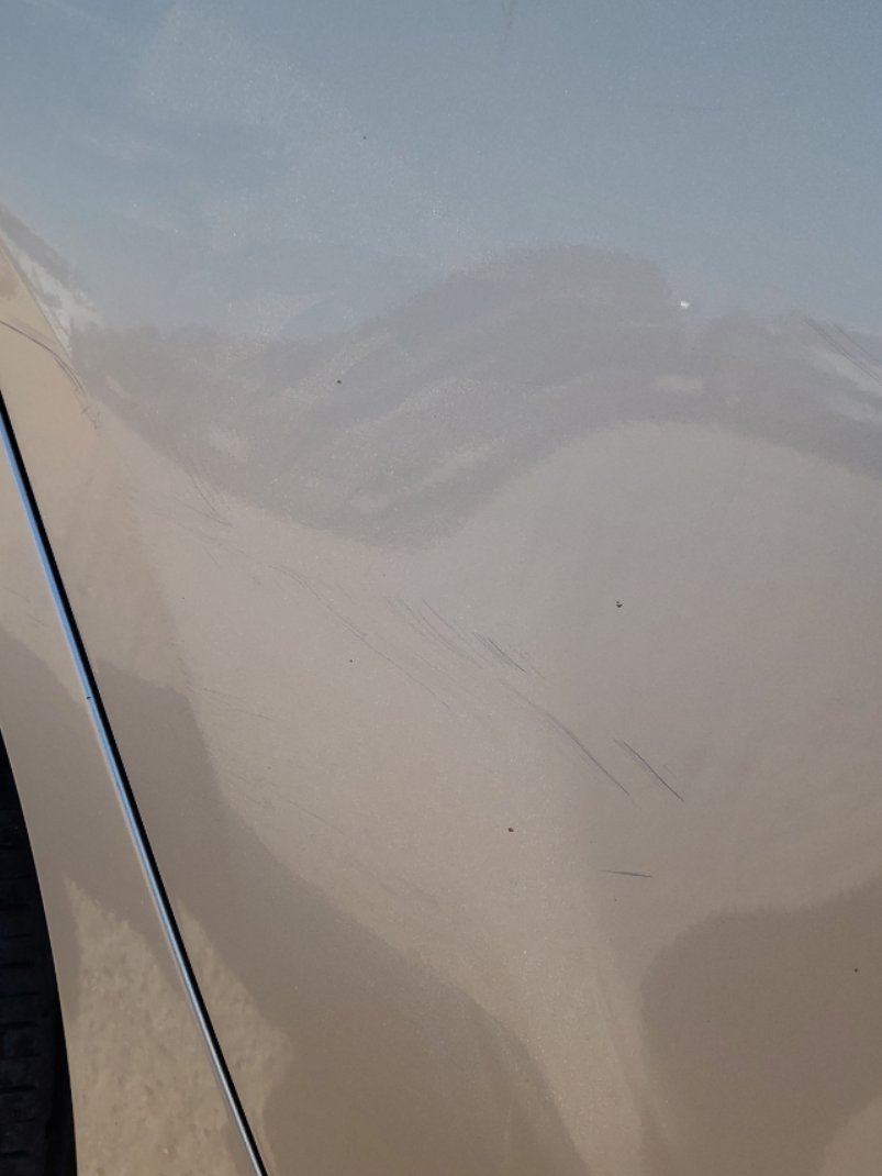 KIA Pegas اي اكس 2022 image