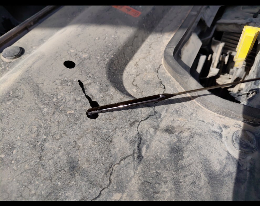 Ford Taurus  2022 image