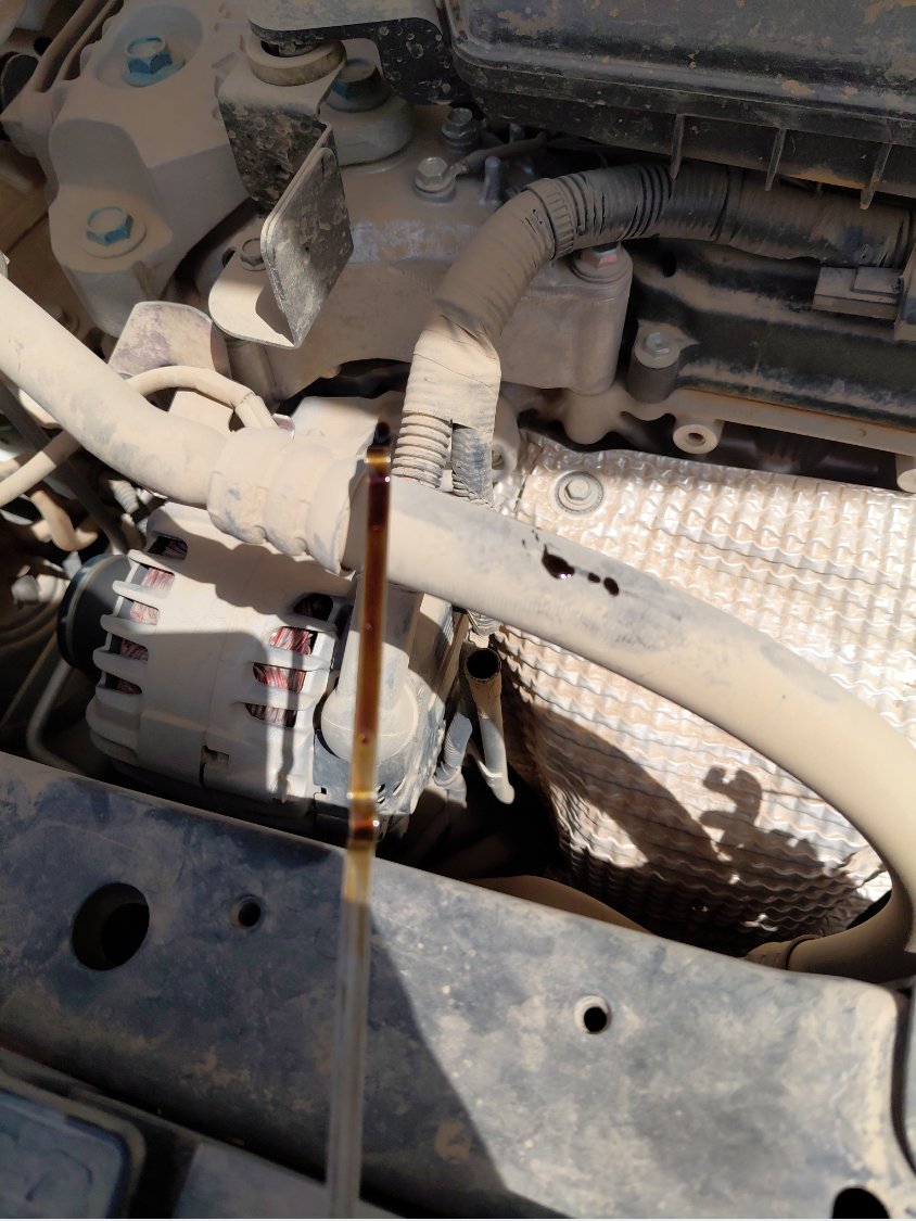 Nissan X-Trail  2022 image