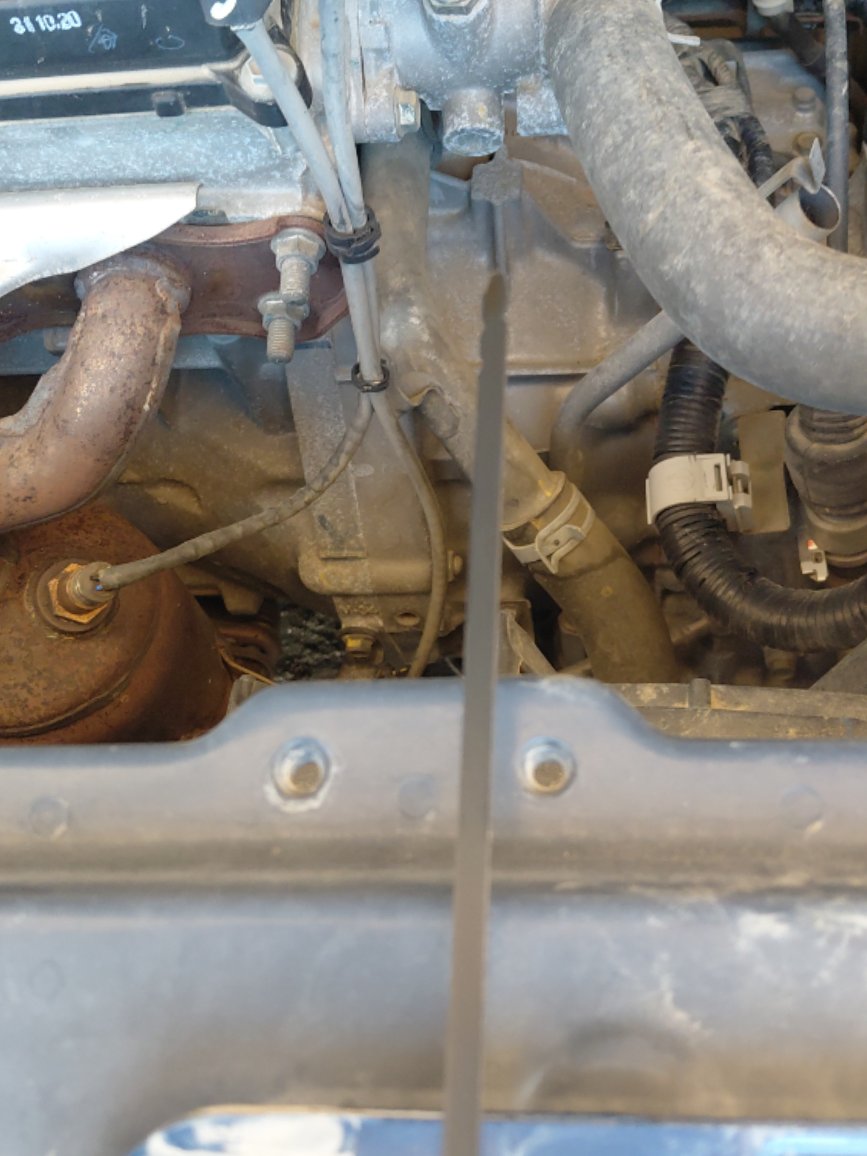 سوزوكي بالينو  2021 image