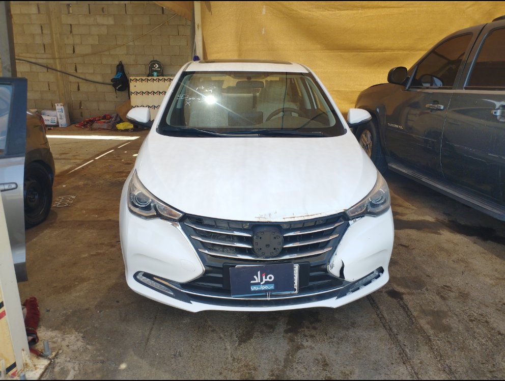 شانجان السفن  2024